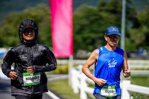 BIB: 
                            <button type="button" onclick="openModal(26545174)" class="btn btn-primary btn-sm float-right btn-popup" data-toggle="modal" data-target=".modal-high-quality">
                        <i class="fas fa-shopping-cart"></i> Add to Cart
                    </button>
                                            <button type="button" onclick="isThisMe(26545174, true)" class="btn btn-success btn-sm float-right btn-popup btn-isme hidden" data-toggle="tooltip" data-placement="bottom" title="นี่คือรูปของคุณใช่ไหม คลิกที่นี่เพื่อเอาเข้าอัลบั้ม">
                        <i class="fas fa-plus"></i> Add to album
                    </button>
                    <button type="button" onclick="isThisMe(26545174, false)" class="btn btn-warning btn-sm float-right btn-popup btn-isnotme hidden">
                        <i class="fas fa-ban"></i> Remove from album
                    </button>